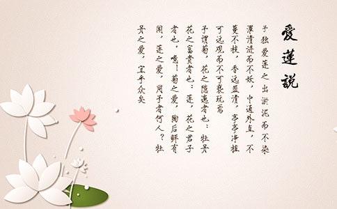 ����ɏ�f���x���800�ַ���