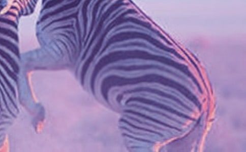 ���R��ǰ�I(xi��n)��(��i)������