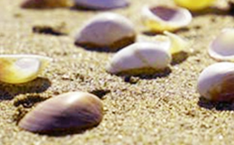 [���x]��(sh��)�õē�ؐ������300��9ƪ