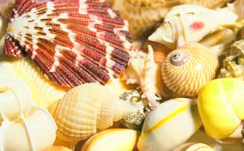 ؐ������;