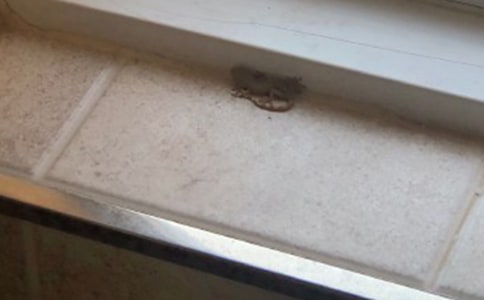 С�W(xu��)���P(gu��n)�ڱڻ����^������