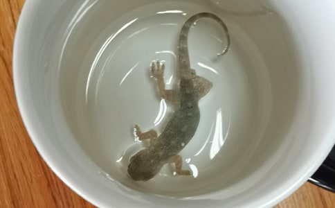 �ڻ���β������300�֣�ͨ��20ƪ��