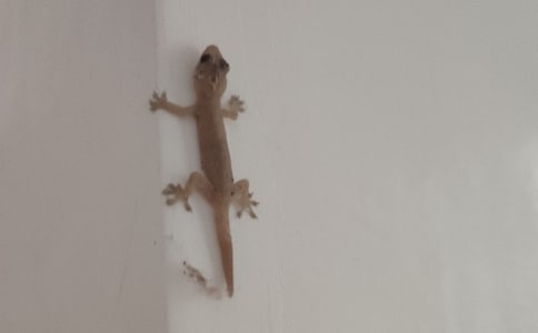 ��С�ڻ���β�͡��f�n�O(sh��)Ӌ(j��)