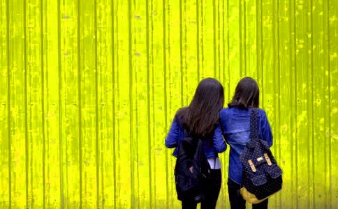 表姐家的東東作文300字