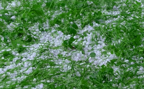 ���x��������400��50ƪ