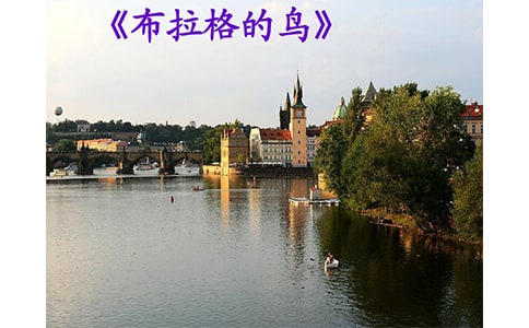 《布拉格的鳥》讀書筆記