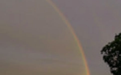 ���ʺ��Ψ������380��