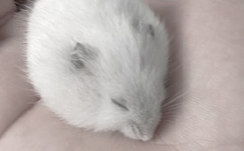 �ҵ�С�}����ӛ600�־��x