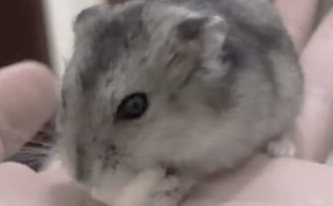 �}����ӛ����