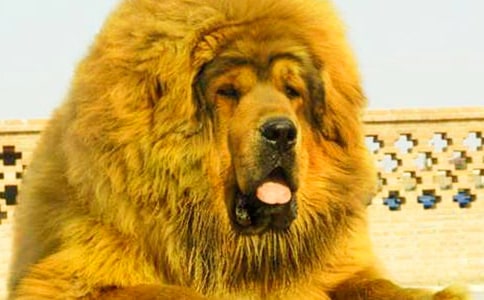 ��������400�֣�ͨ��16ƪ��