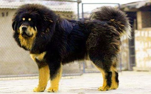 ���c����Ľ��� ǧԪ׃ǧ�f!