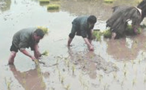 ��������400�ְ�ƪ