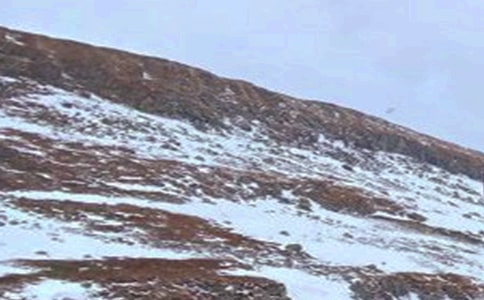 2017��ɽ���L(zh��ng)��ɽ֮�ġ��Ļ����ι�(ji��)9���_Ļ