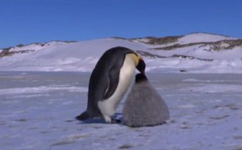 ��Խ�����Đ�����2ƪ