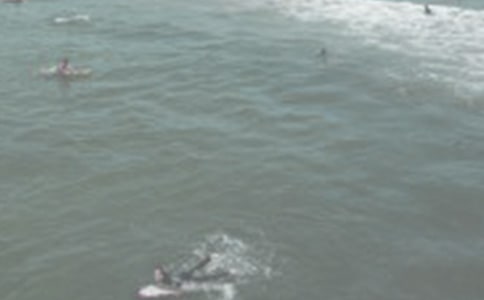 ���ϾW(w��ng)�_�˵��ϋ�����