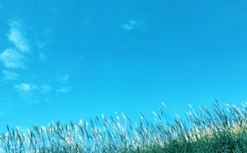 �Á����ݴ��L(f��ng)�ĳ��Z(y��)�����