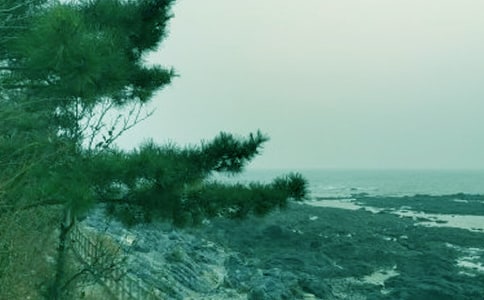 �茑���L(f��ng)�ă�(y��u)������15ƪ��ͨ�ã�