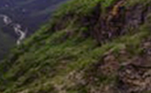 ��ɽ����500����ƪ