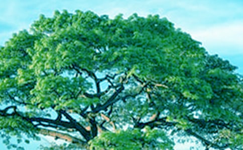 ��С�ݺʹ�䡷�x���400��4ƪ