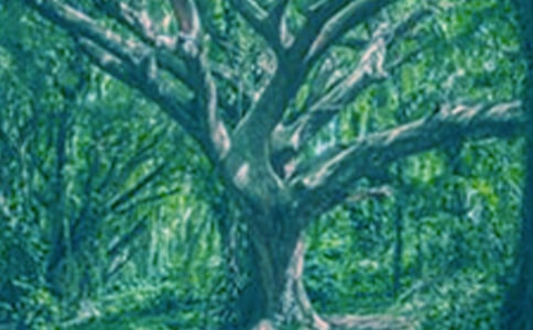 �xС�ݺʹ���и�600��