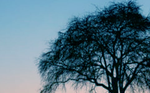 С�ݺʹ���x���600��3ƪ