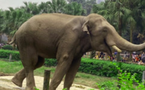 �Ǻʹ�������(11ƪ)