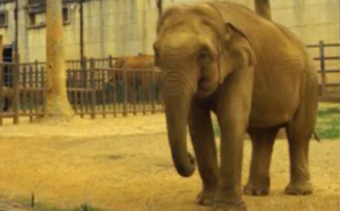 ���o����δ̡����x���300��