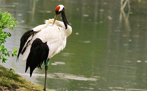 ����Q�x�������500��