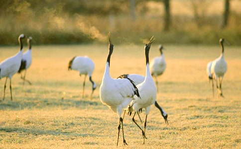 ����Q����300��3ƪ