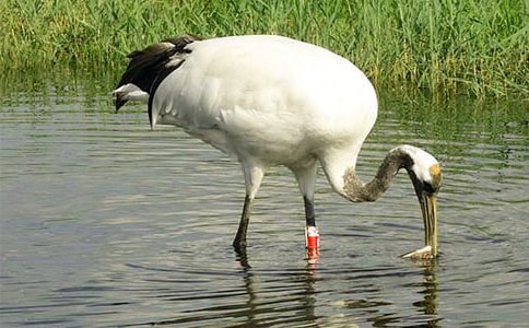 ����Q����400����ƪ