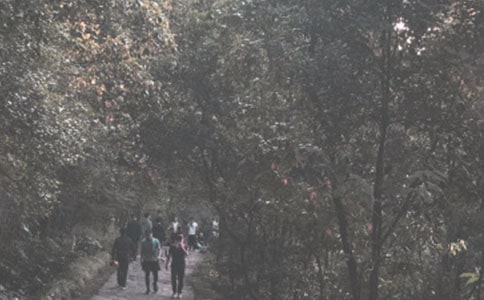 ��ɽ��ӛ����600�ֳ�����ͨ��38ƪ��