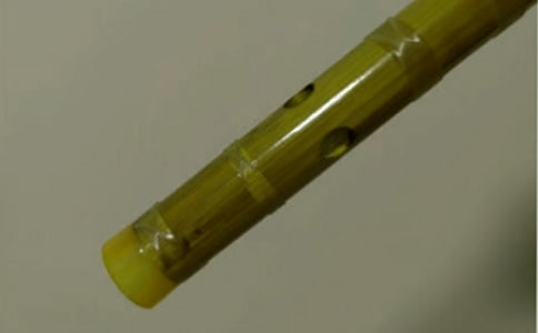 ��������600�֣����x52ƪ��