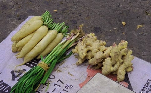 第一次擺地?cái)傋魑模ňx22篇)