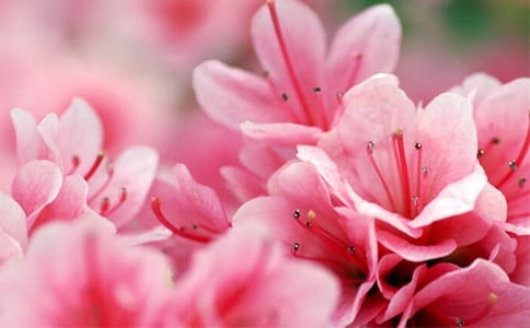 ���ݶ��N����Ψ������320��