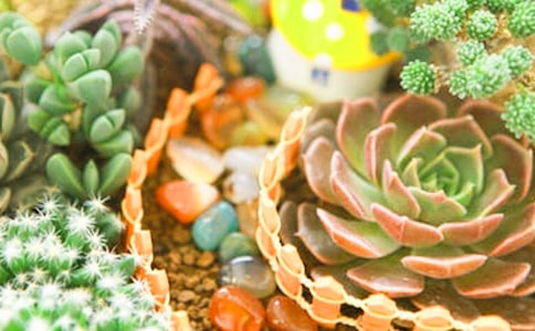 �茑���������