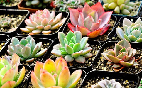 [���x]�茑���������