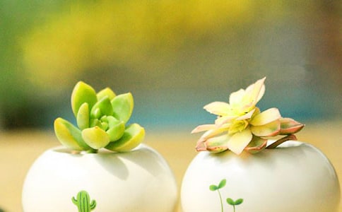 �^���������400�֣����x62ƪ��