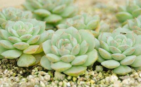 �茑(xi��)���������