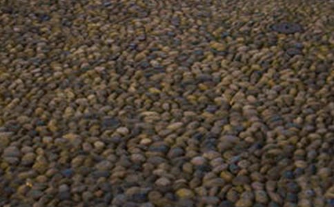 ӛ���е��Z��ʯ����