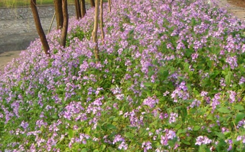 �����m��(d��ng)����500�����ģ����x6ƪ��