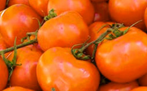 ����o�����������༼�g(sh��)����