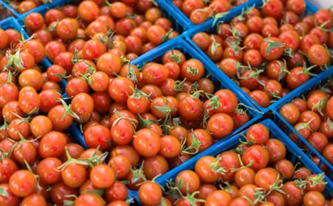 �P(gu��n)�ڷ��ѳ���������