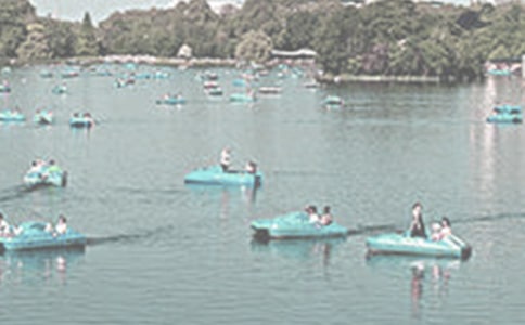 ��(sh��)����������500�֣����x23ƪ��