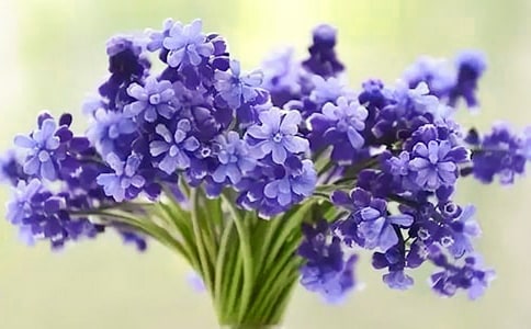 �L(f��ng)�����^����ӛ���t