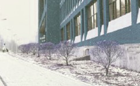 �L(f��ng)ѩҹ�е���־