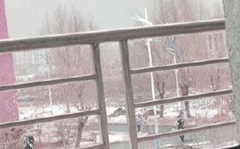 �茑���L(f��ng)ѩ�ĳ��Z