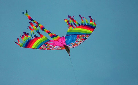 ���L(f��ng)�~����ӛ����