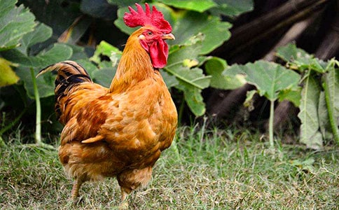 �茑���u��С�W(xu��)����(���\7ƪ)