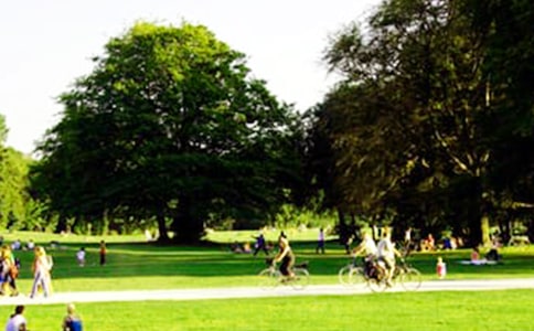 濱海縣南湖公園導(dǎo)游詞-導(dǎo)游詞范文