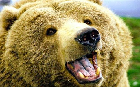 ���ܴ����u500�ֳ�������